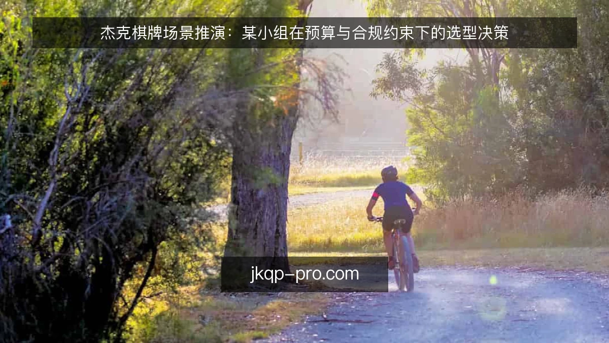 杰克棋牌场景推演:某小组在预算与合规约束下的选型决策